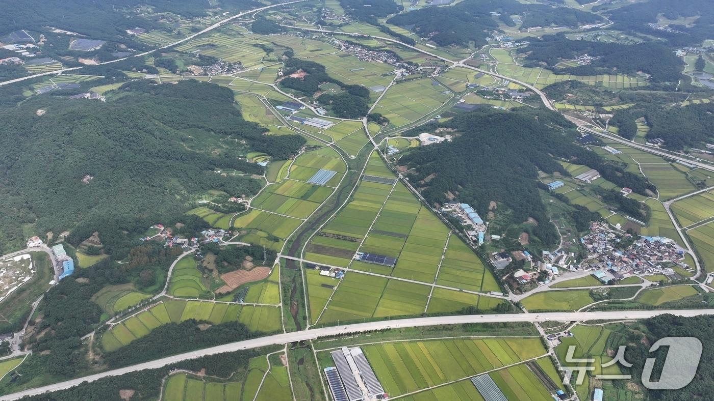 본문 이미지 - 상공에서 촬영된 전북 남원지역 농지 모습.(남원시 제공. 재판매 및 DB금지)/뉴스1 