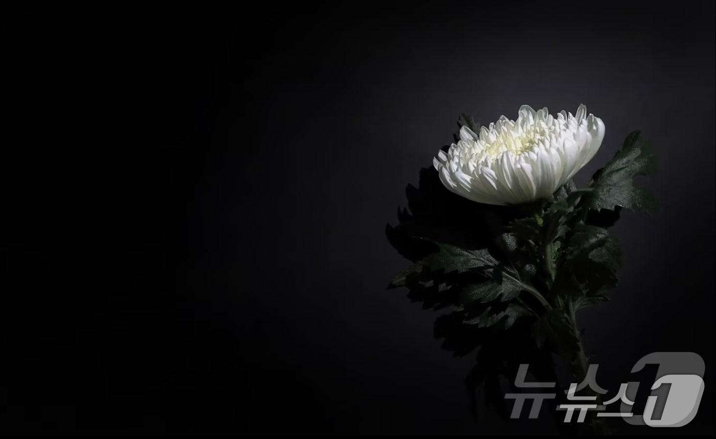 본문 이미지 -  