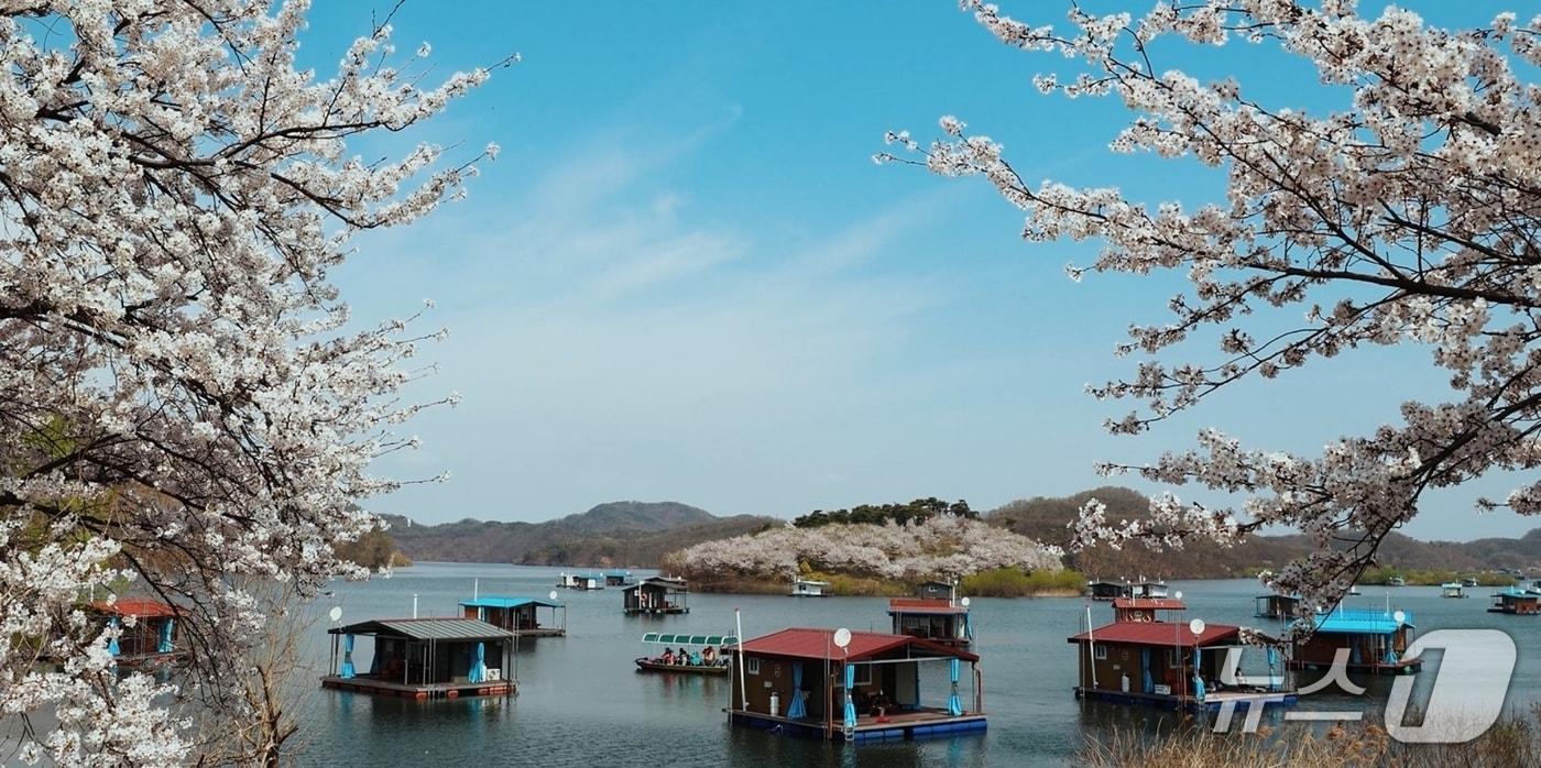 본문 이미지 - 진천군 지난해 SNS 영상 공모전 수상작.(진천구 제공. 재판매 및 DB금지)/뉴스1