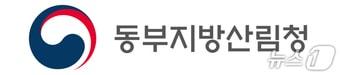 본문 이미지 - 동부지방산림청 로고.(동부지방산림청 제공, 재판매 및 DB 금지)