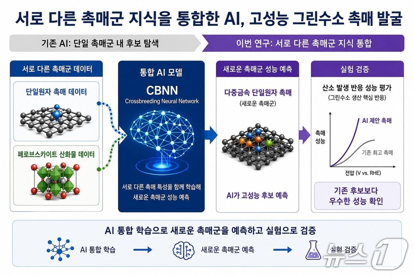 본문 이미지 - 크로스브리딩 신경망(CBNN) 연구 개요(IBS 제공) /뉴스1