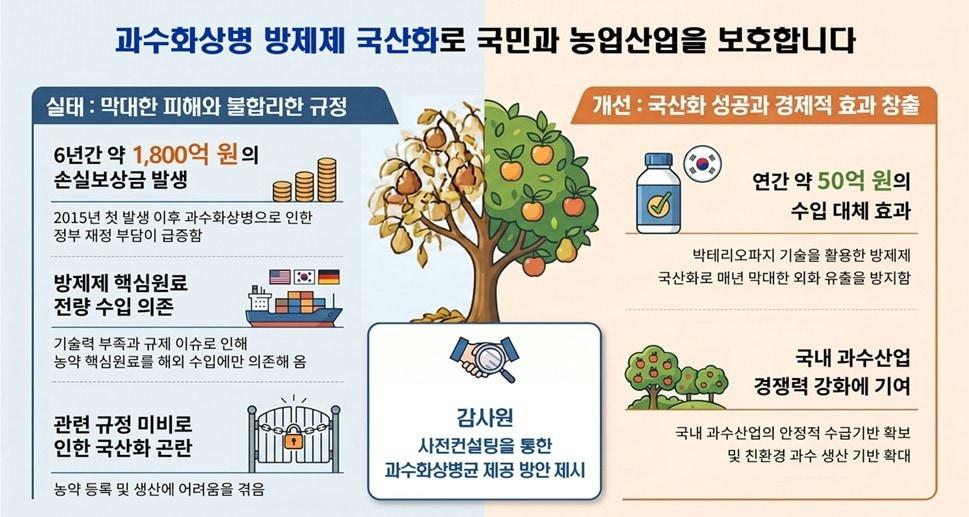 본문 이미지 - 감사원 제공