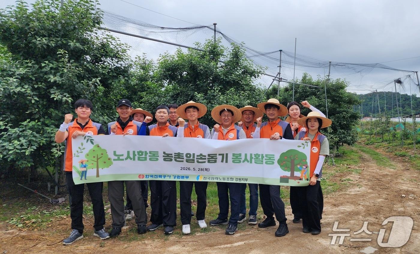 본문 이미지 - 한전 강원본부 농촌일손돕기 봉사활동.(한국전력 강원본부 제공. 재판매 및 DB금지)/뉴스1