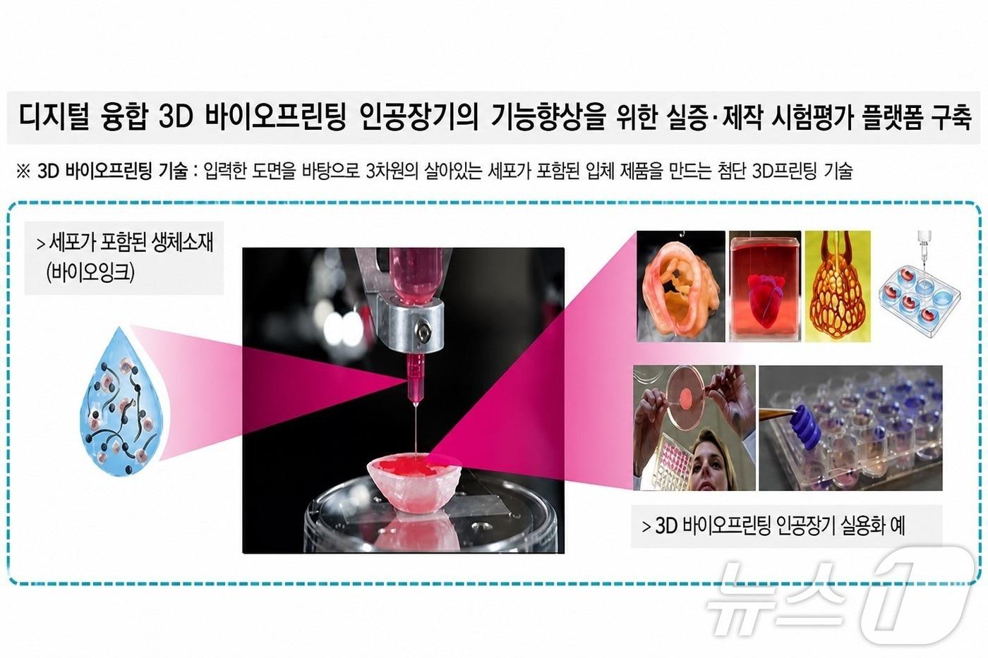 본문 이미지 - 경북도는 지난달 27일 과학기술정보통신부 ‘2026년 제1차 바이오·의료기술개발 공모사업’에 선정돼 5년간 총 341억 원을 투입, 신약과 재생의료 기술 개발에 나선다. ⓒ 뉴스1 김대벽기자