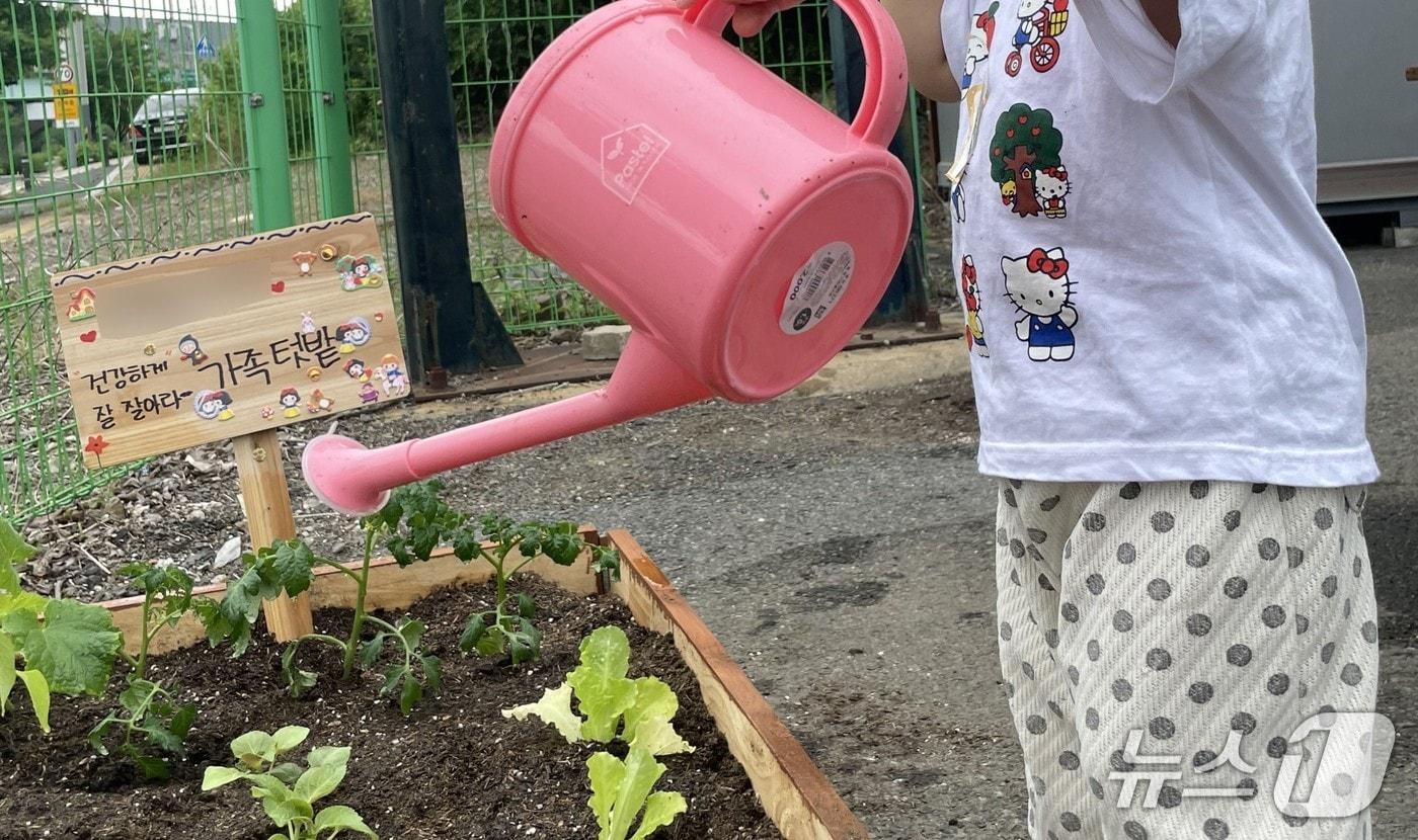 본문 이미지 - '마음이 자라는 텃밭' 참가자가 가족 텃밭에 물을 주고 있다. (대구 달성군 제공. 재판매 및 DB금지)