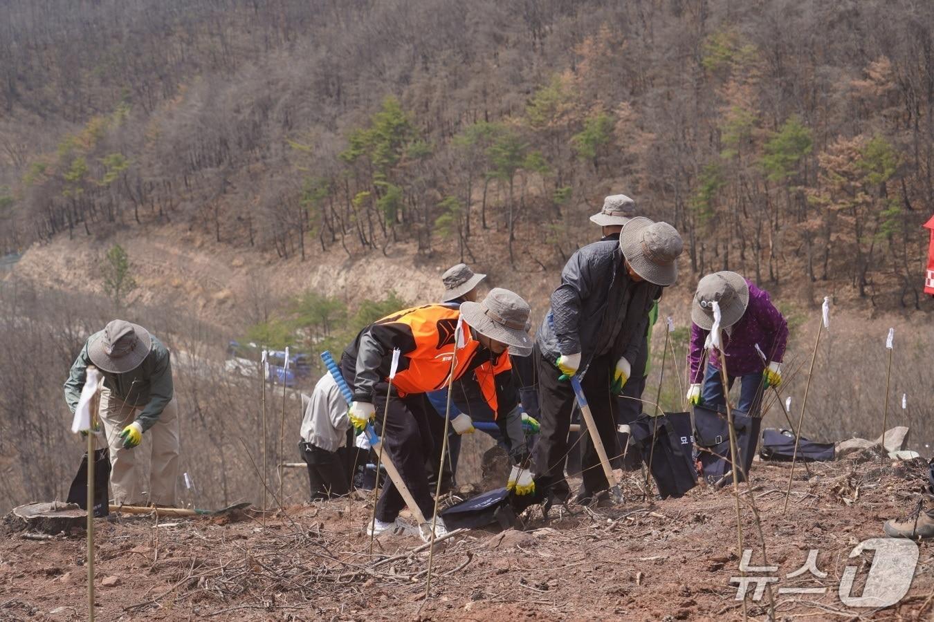 본문 이미지 - 4월 안동 산불피해지 나무심기 행사(산림청 제공.재판매 및 DB금지)/뉴스1