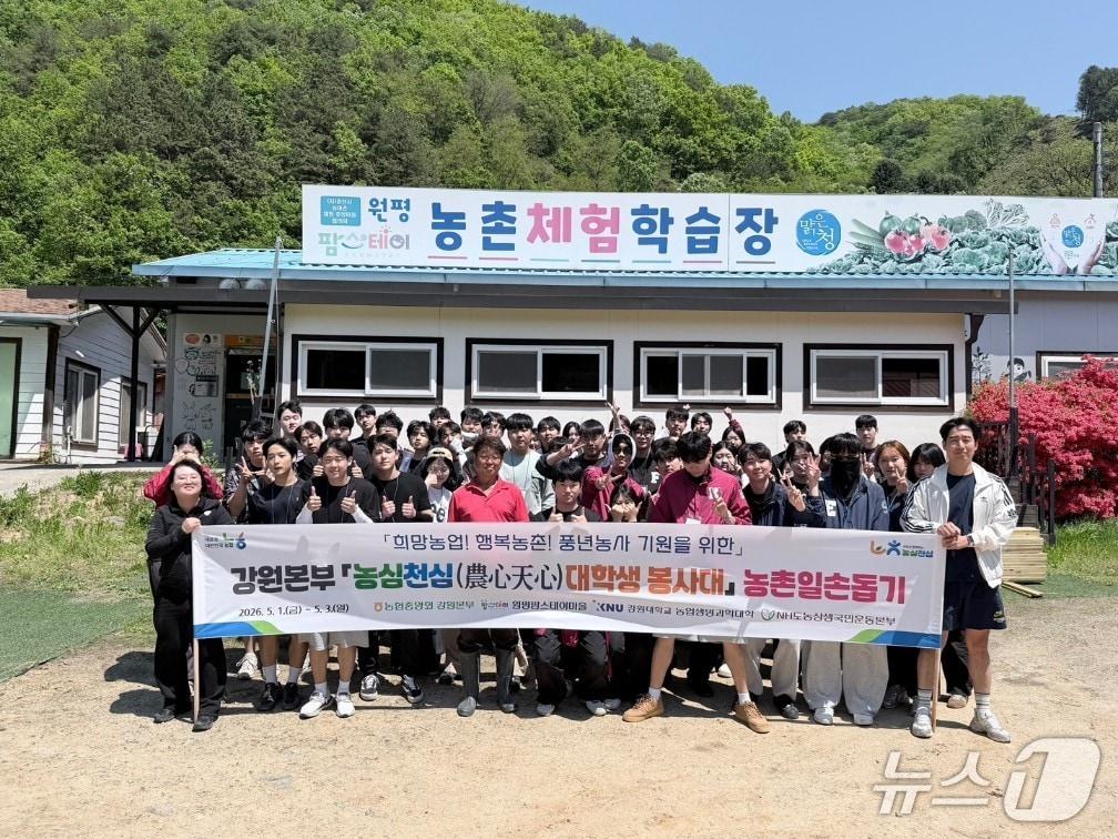 본문 이미지 - 농촌일손돕기 봉사활동.(농협 강원본부 제공. 재판매 및 DB금지)/뉴스1