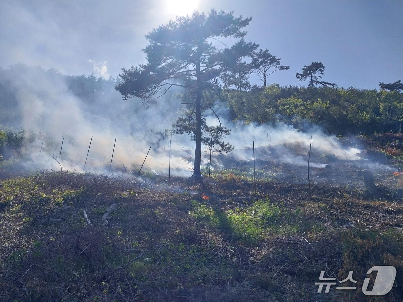 본문 이미지 - 4일 오후 전남 나주 한 야산에서 난 산불의 모습.(사진=전남소방본부 제공. 재판매 및 DB 금지.)