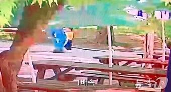 본문 이미지 - 사건 현장 일대 폐쇄회로(CC)TV(온라인커뮤니티 갈무리/뉴스1)