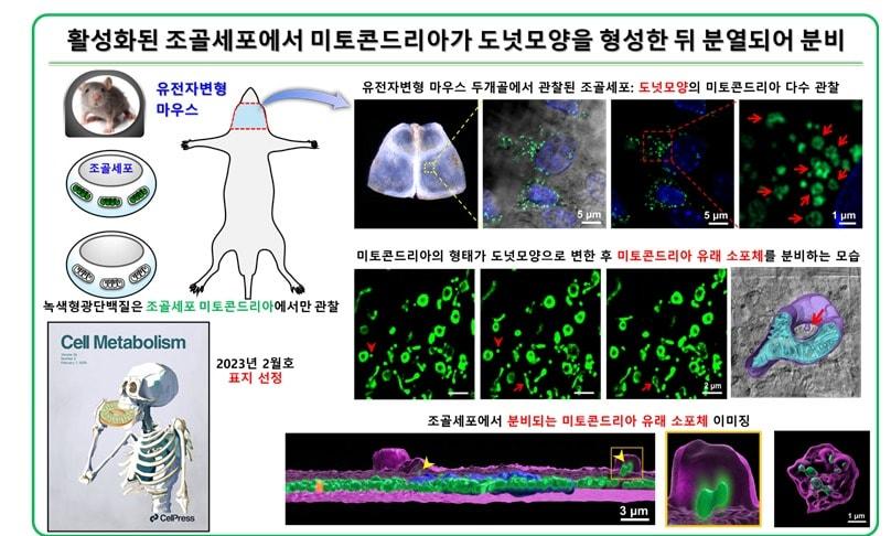 본문 이미지 - (과기정통부 제공)
