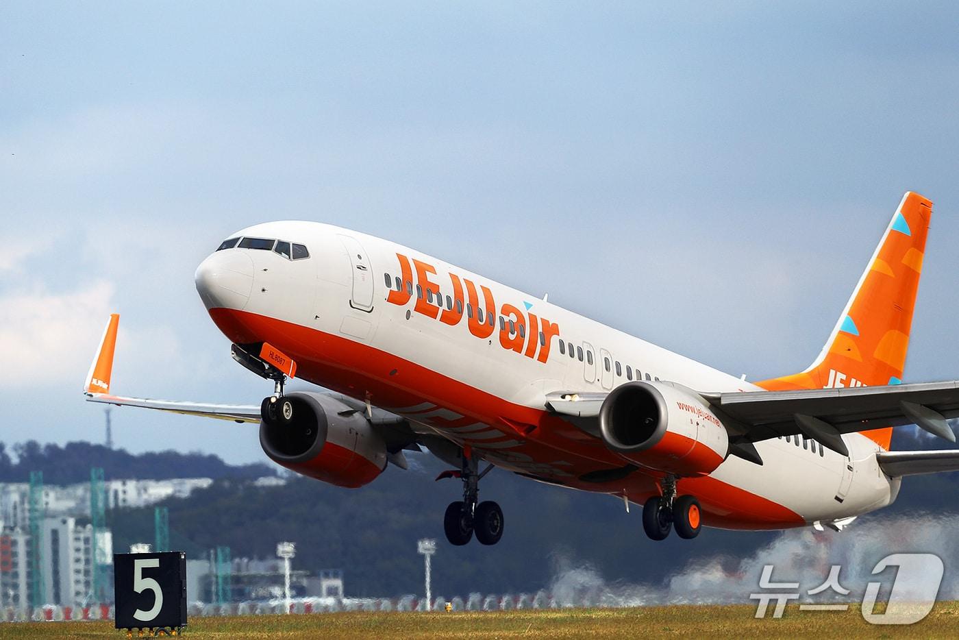 본문 이미지 - 제주항공 B737-800 항공기(제주항공 제공)