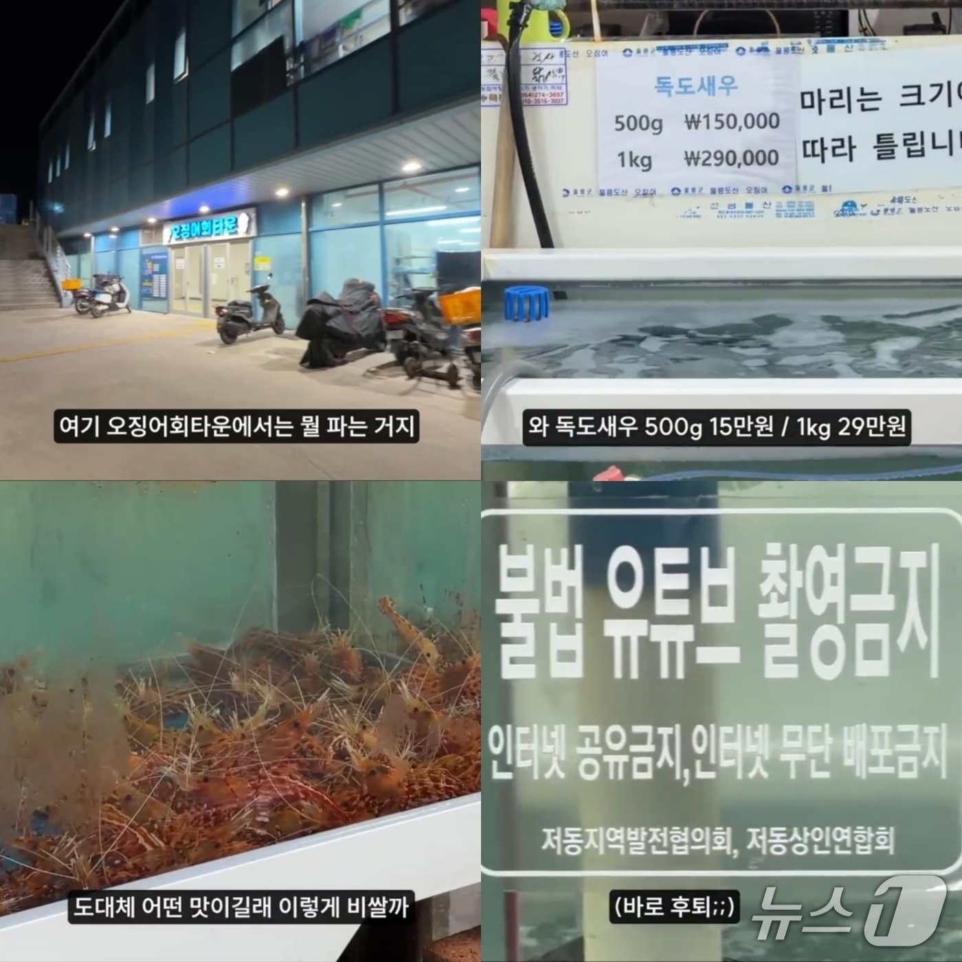 본문 이미지 - 유튜브 '물만난고기' 채널에서 울릉도 오징어회센터에 방문해 독도 새우 가격을 보고 놀라고 있다.(물만난고기 유튜브 채널)2026.5.6/뉴스1