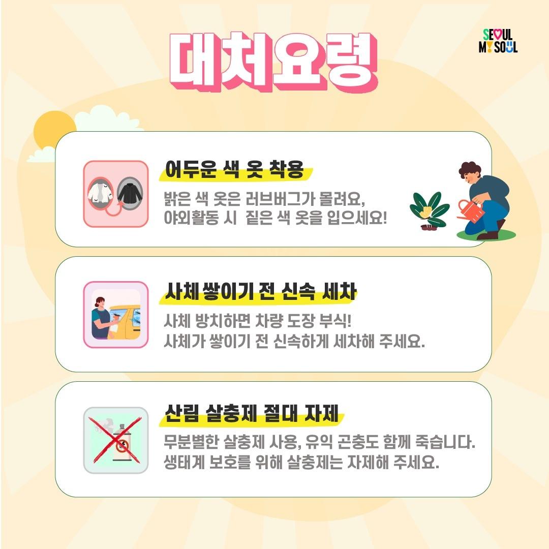 본문 이미지 - 러브버그 대처요령