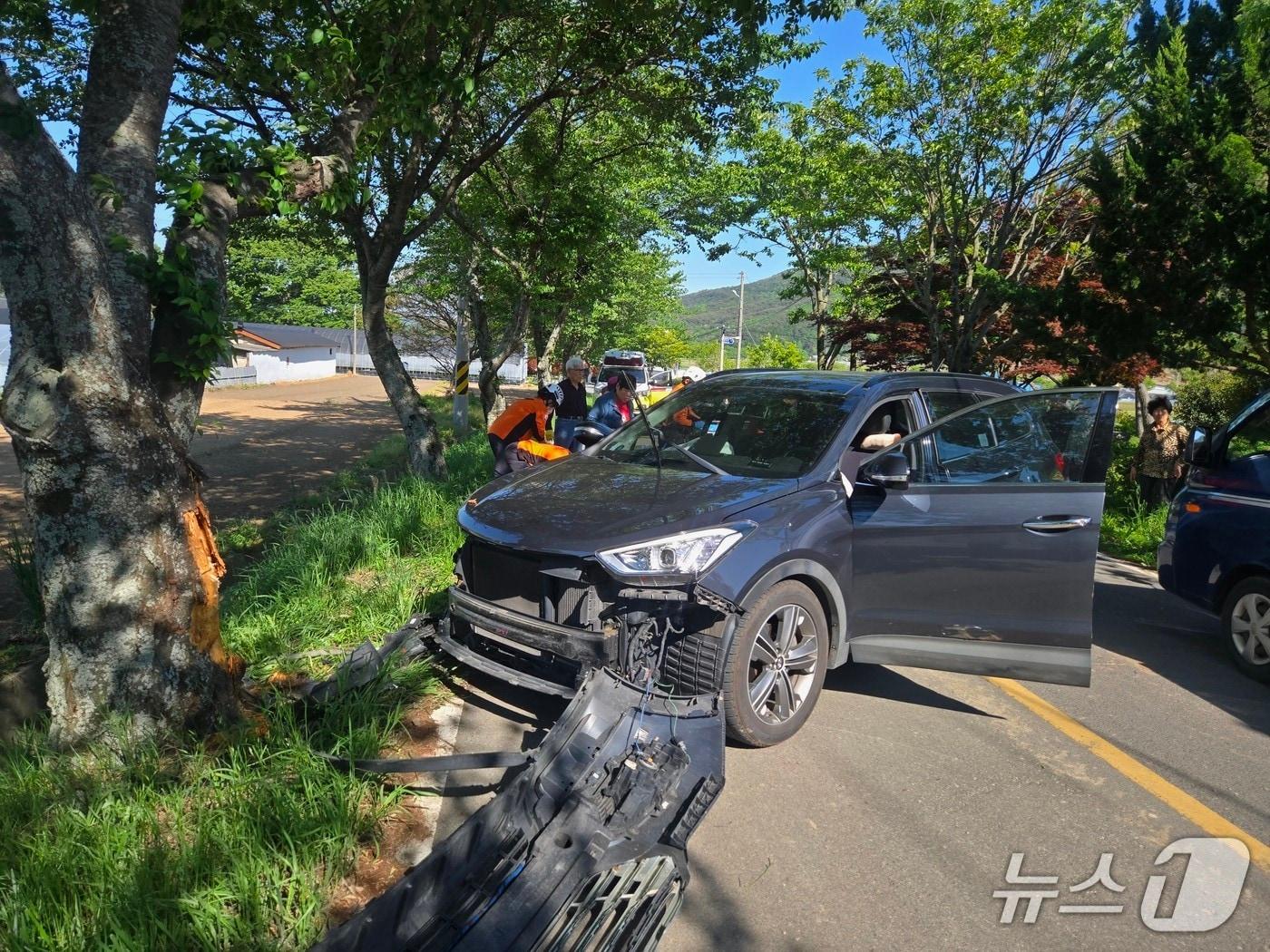 본문 이미지 - 지난 6일 전남 보성서 SUV차량이 가로수를 들이받아 1명이 숨지고 3명이 부상을 입는 사고가 발생했다. (전남소방본부 제공. 재판매 및 DB금지)