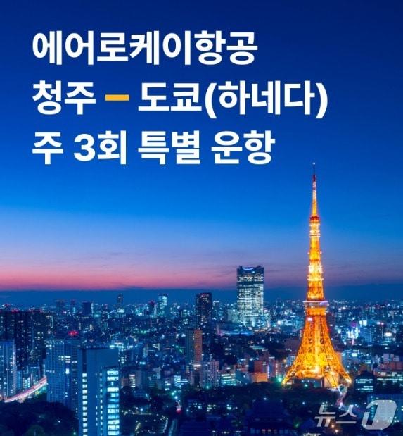 본문 이미지 - 청주-하네다 주3회 특별운항 포스터.(에어로케이항공 제공. 재판매 및 DB금지)/뉴스1