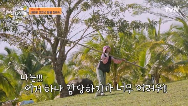 본문 이미지 - tvN '언니네 산지직송' 화면 캡처