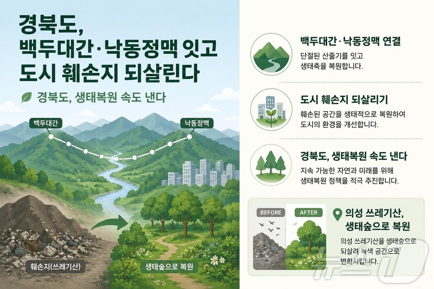 본문 이미지 - 경북도는 8일 생태계 복원과 그린네트워크 구축을 위해 10개 사업에 62억 원을 투입한다. ⓒ 뉴스1 김대벽기자
