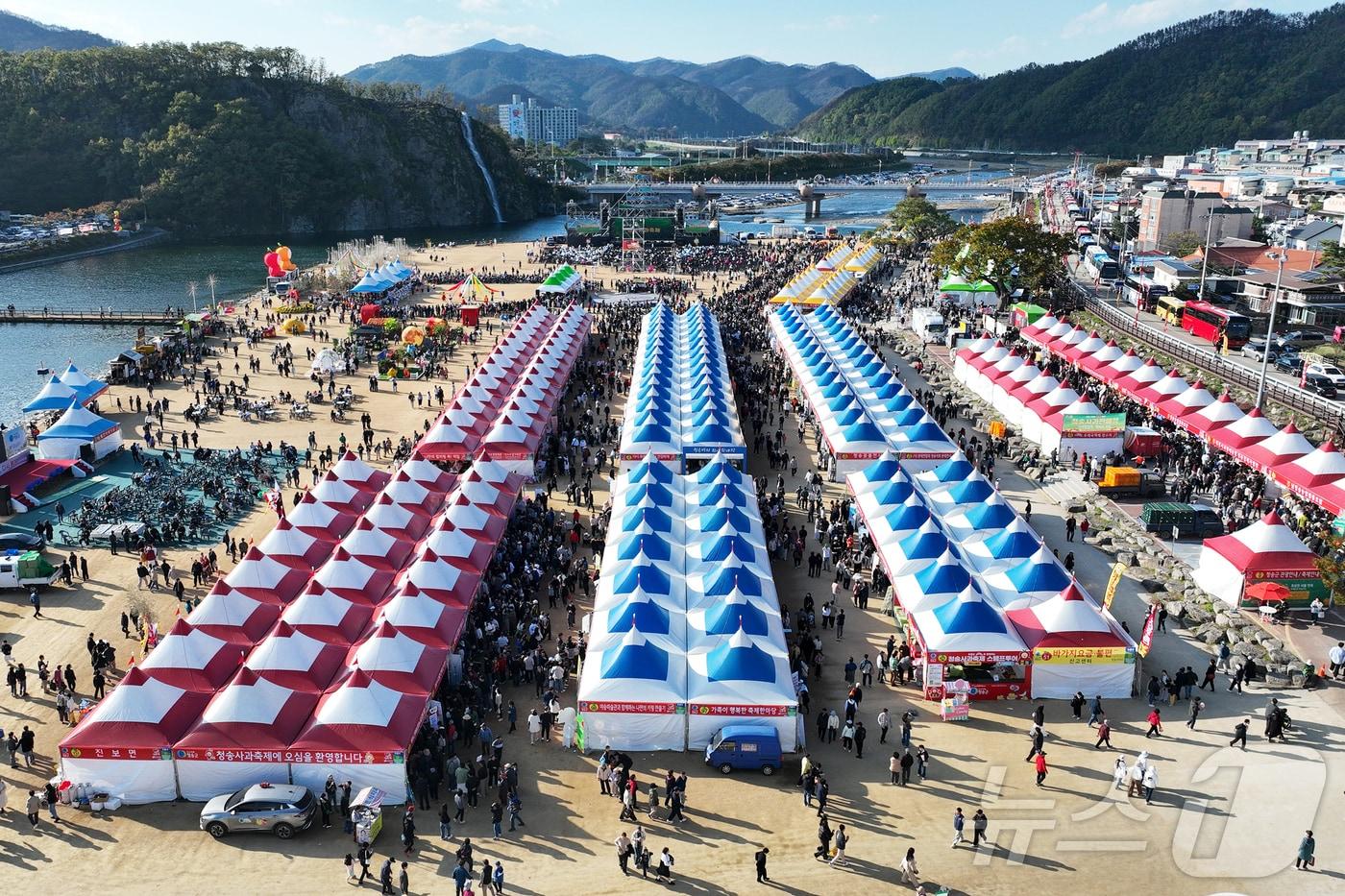 본문 이미지 - 20회째인 청송 사과축제가 11월4~8일 용전천 현비암 일대에서 열린다./뉴스1