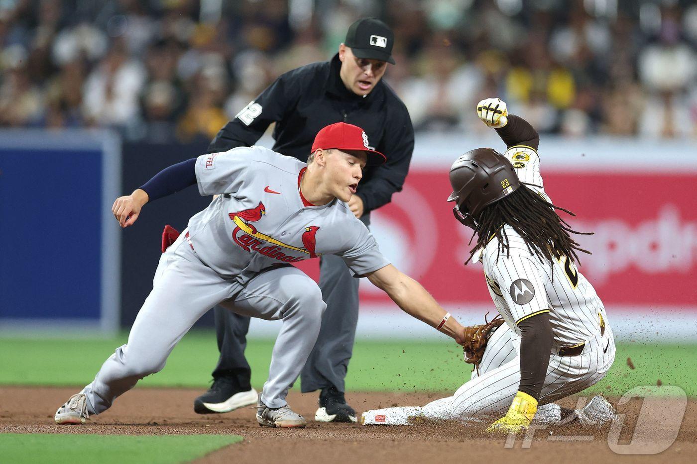 본문 이미지 - MLB 샌디에이고가 세인트루이스에 패하며 연승 행진이 중단됐다.ⓒ AFP=뉴스1