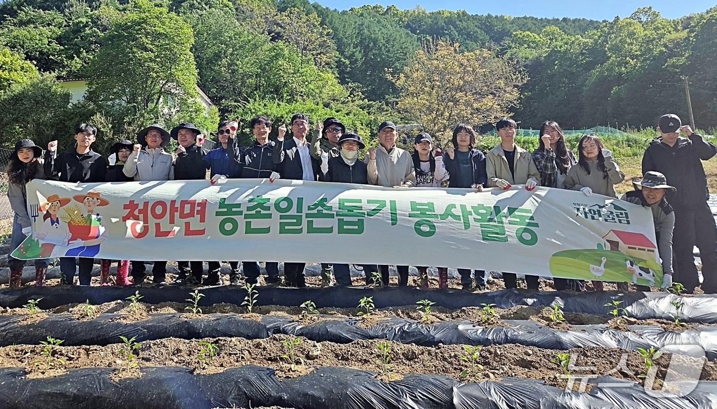 본문 이미지 - 괴산군 재무과와 청안면 농촌일손돕기.(괴산군 제공. 재판매 및 DB금지)/뉴스1