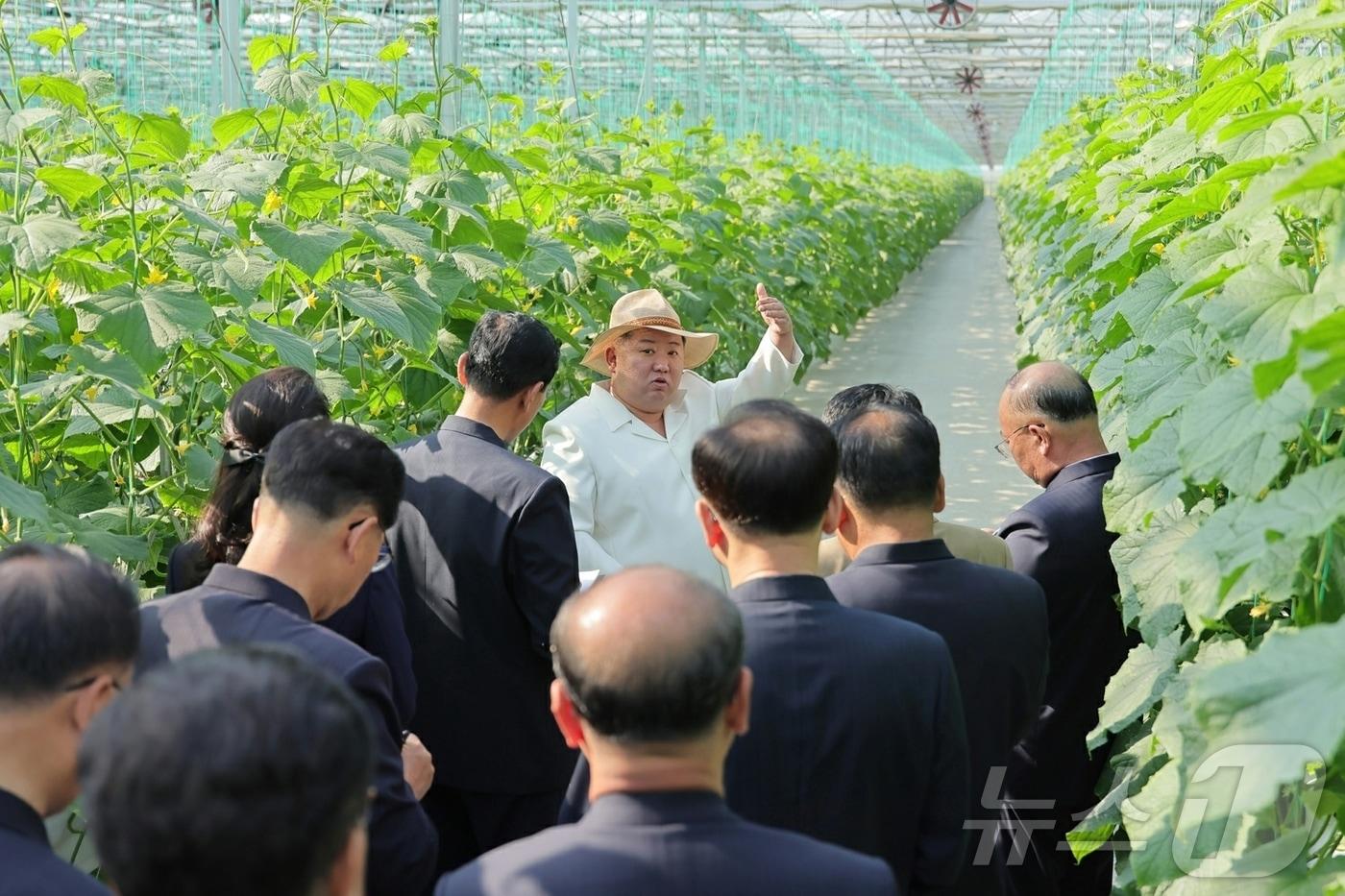 본문 이미지 - (평양 노동신문=뉴스1) = 북한 노동당 기관지 노동신문은 1일 김정은 동지께서 5월 31일 신의주온실종합농장을 현지지도 했다"고 보도했다. [국내에서만 사용가능. 재배포 금지. DB 금지. For Use Only in the Republic of Korea. Redistribution Prohibited] rodongphoto@news1.kr