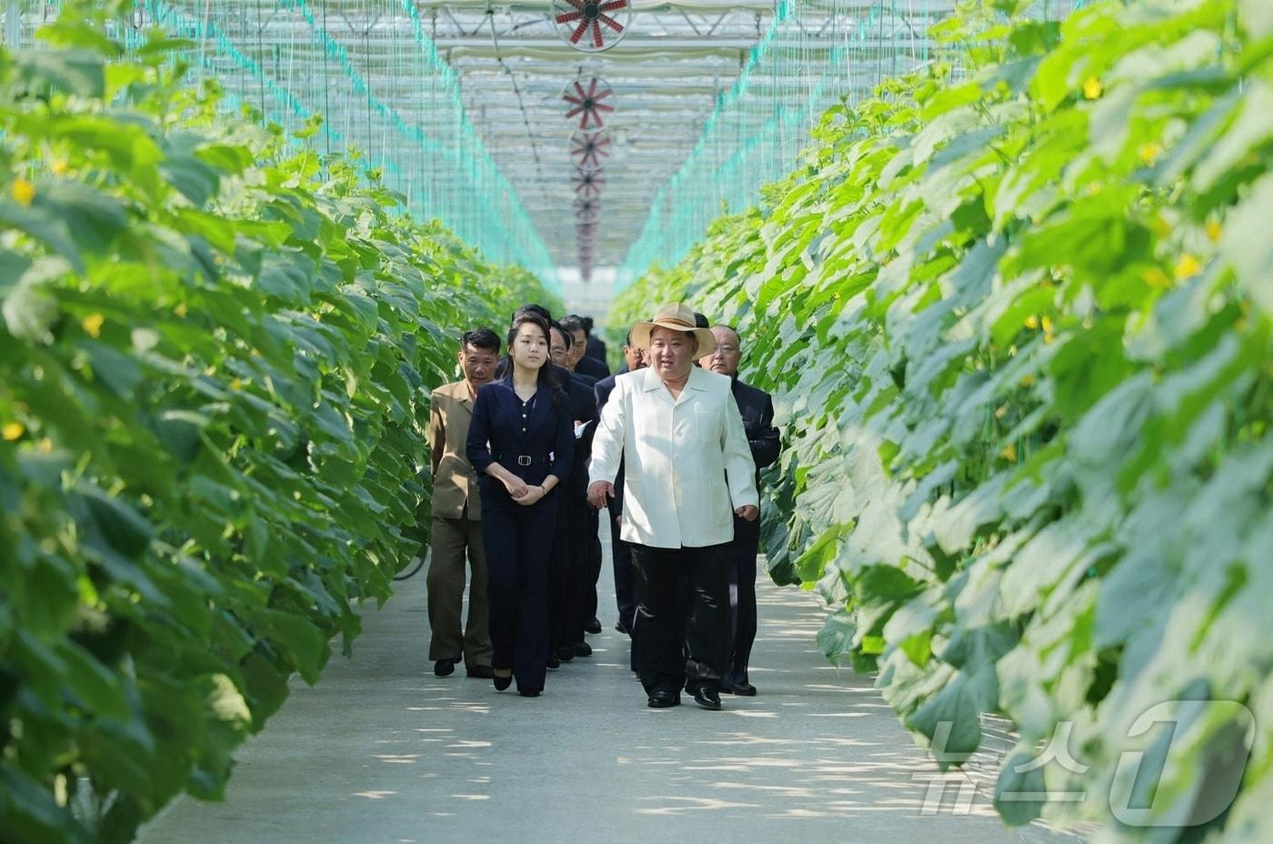 본문 이미지 - (평양 노동신문=뉴스1) = 김정은 북한 노동당 총비서가 지난달 31일 신의주온실종합농장을 현지지도하는 모습. [국내에서만 사용가능. 재배포 금지. DB 금지. For Use Only in the Republic of Korea. Redistribution Prohibited] rodongphoto@news1.kr