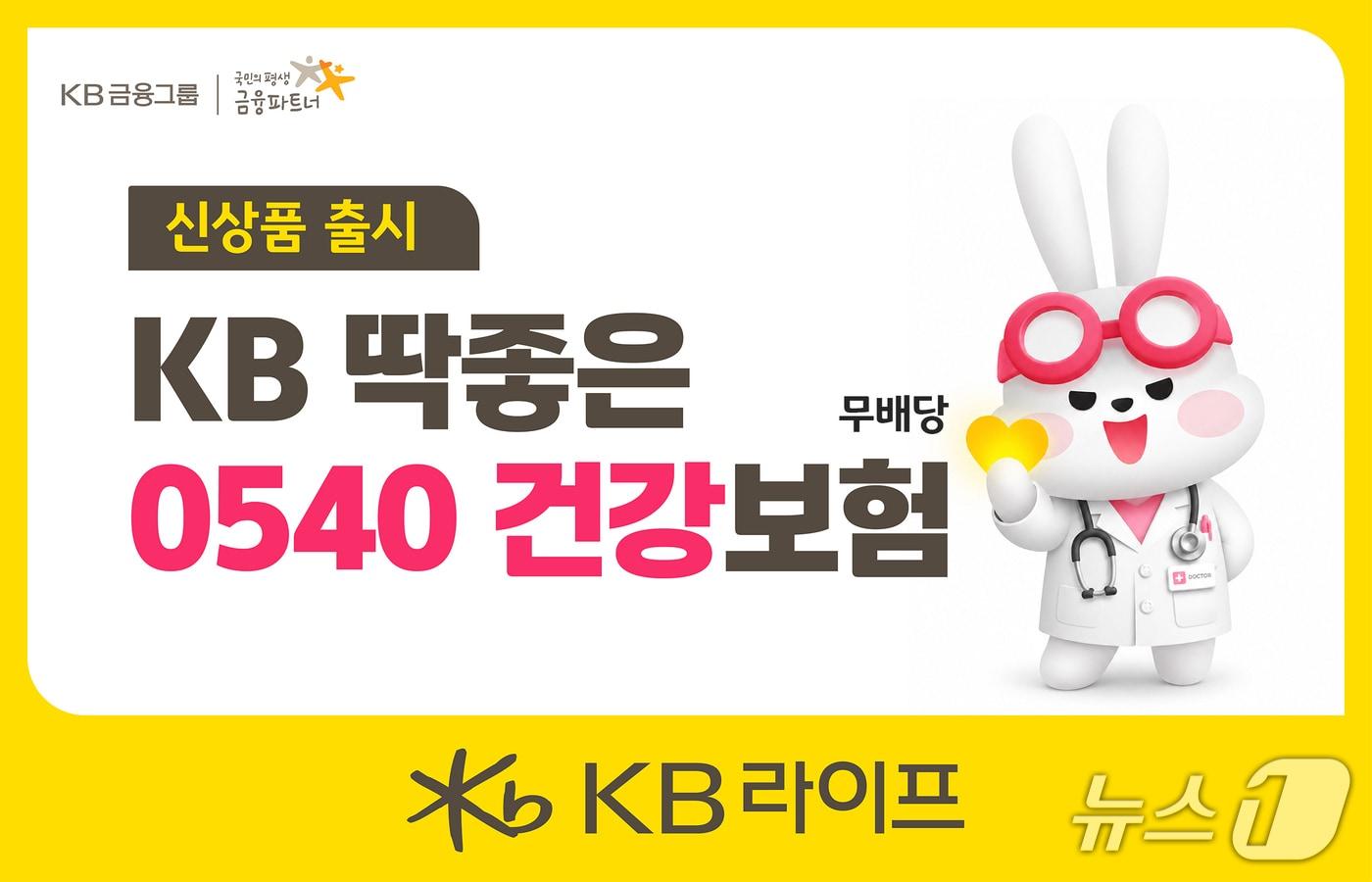 본문 이미지 - KB 딱좋은 0540 건강보험/사진제공=KB라이프