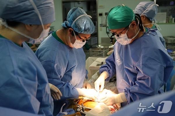 본문 이미지 - 서울아산병원 장기이식센터 신장이식팀이 지난달 20일 만성 신부전 환자에게 신장을 이식하고 있는 모습. (서울아산병원 제공)