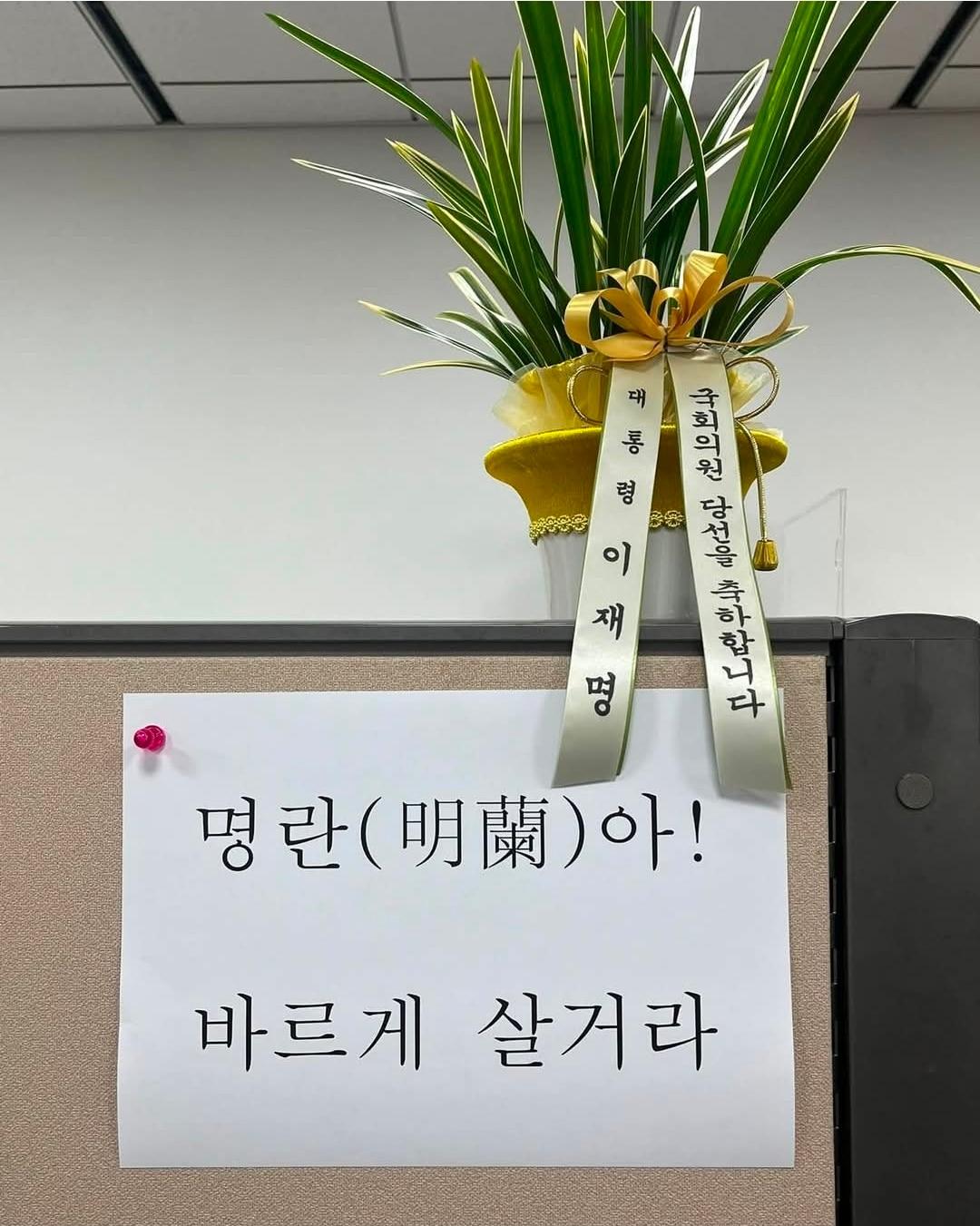 본문 이미지 - 김태규 국민의힘 의원 사회관계망서비스(SNS) 갈무리. 2026.6.10.