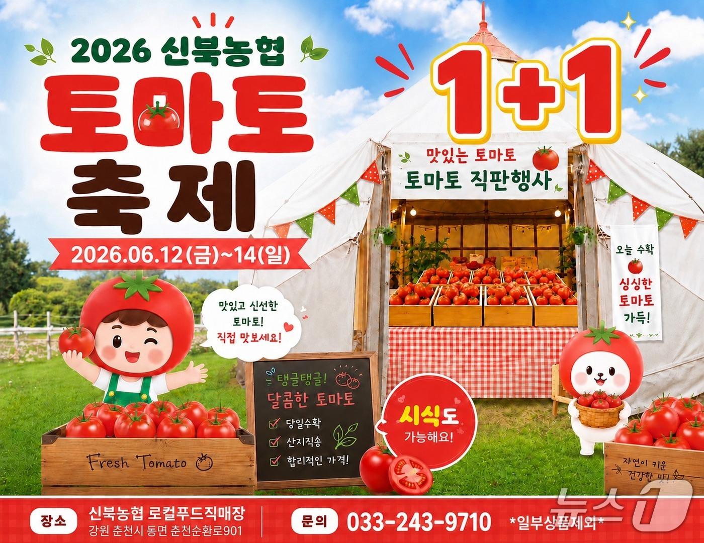 본문 이미지 - '2026 신북농협 토마토 축제' 포스터.(농협 강원본부 제공. 재판매 및 DB금지)/뉴스1