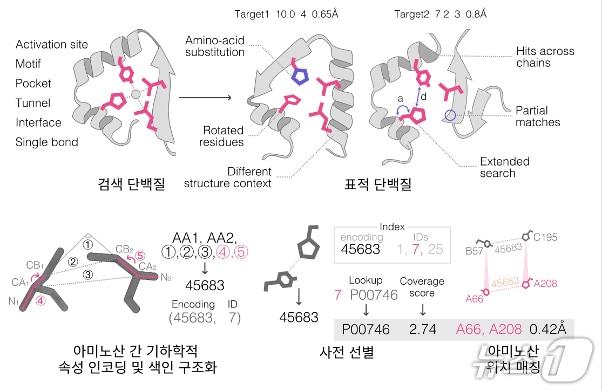본문 이미지 - 폴드디스코 작동 원리(서울대학교 김현빈 박사후연구원 제공) /뉴스1
