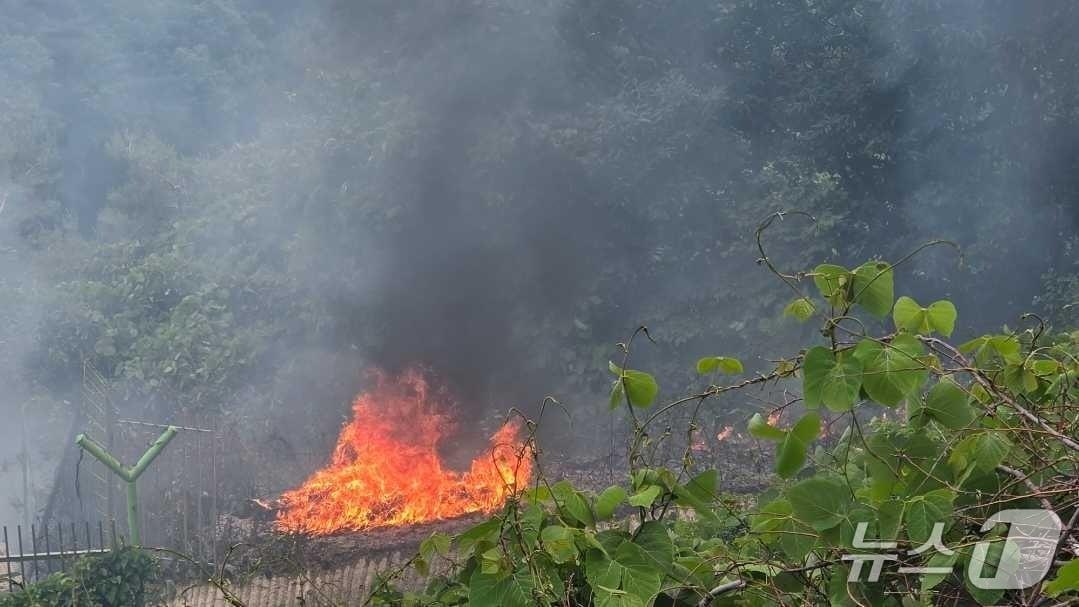 본문 이미지 - 삼척 가곡면 당곡리 산불 현장.(강원도 산불방지대책본부 제공, 재판매 및 DB 금지) 2026.6.11/뉴스1