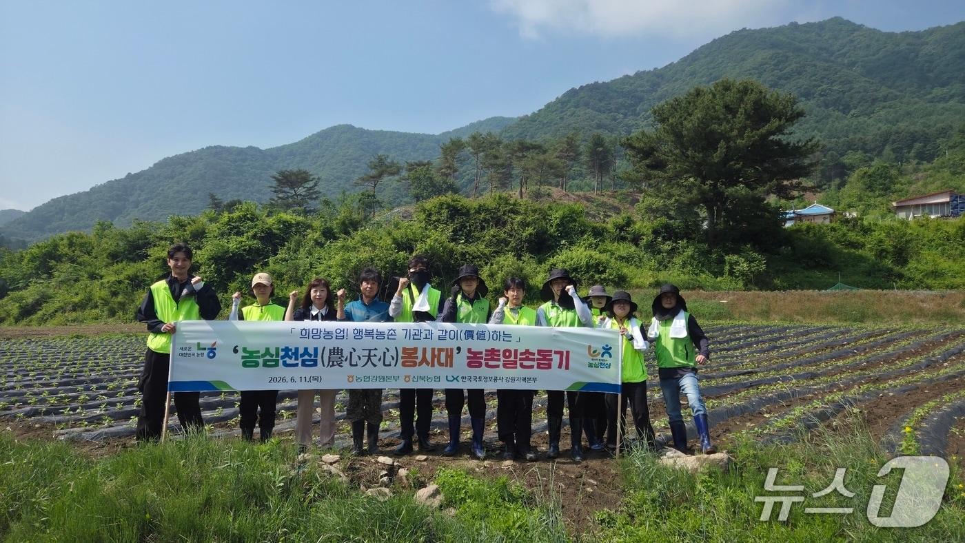 본문 이미지 - 농협 강원본부와 한국국토정보공사(LX) 강원지역본부, 신북농협은 11일 춘천시 북산면 부귀리 물안마을을 찾아 '기관합동 농촌일손돕기'를 실시했다.(농협 강원본부 제공. 재판매 및 DB금지)/뉴스1