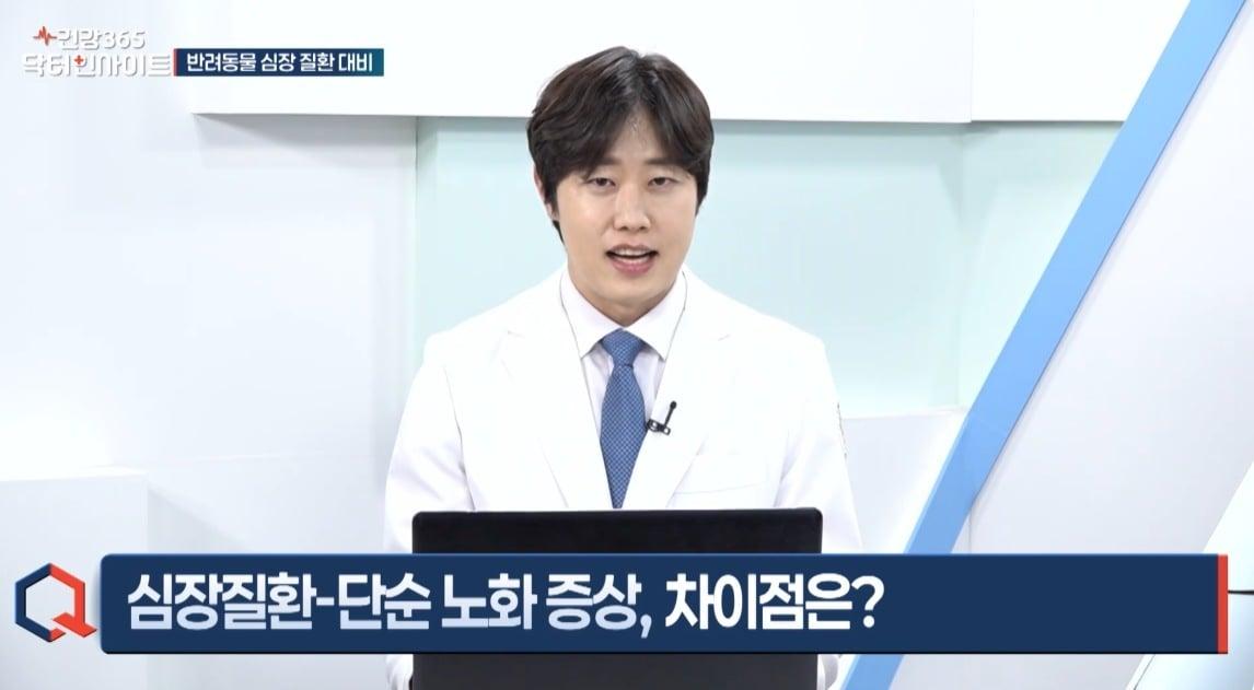 본문 이미지 - 김예원 더케어동물의료센터 대표원장은 지난 10일 이데일리TV '건강365 : 닥터인사이트'에 출연해 강아지와 고양이에서 흔하게 발생하는 심장질환의 조기 발견 중요성을 설명했다(이데일리TV 유튜브 갈무리). ⓒ 뉴스1