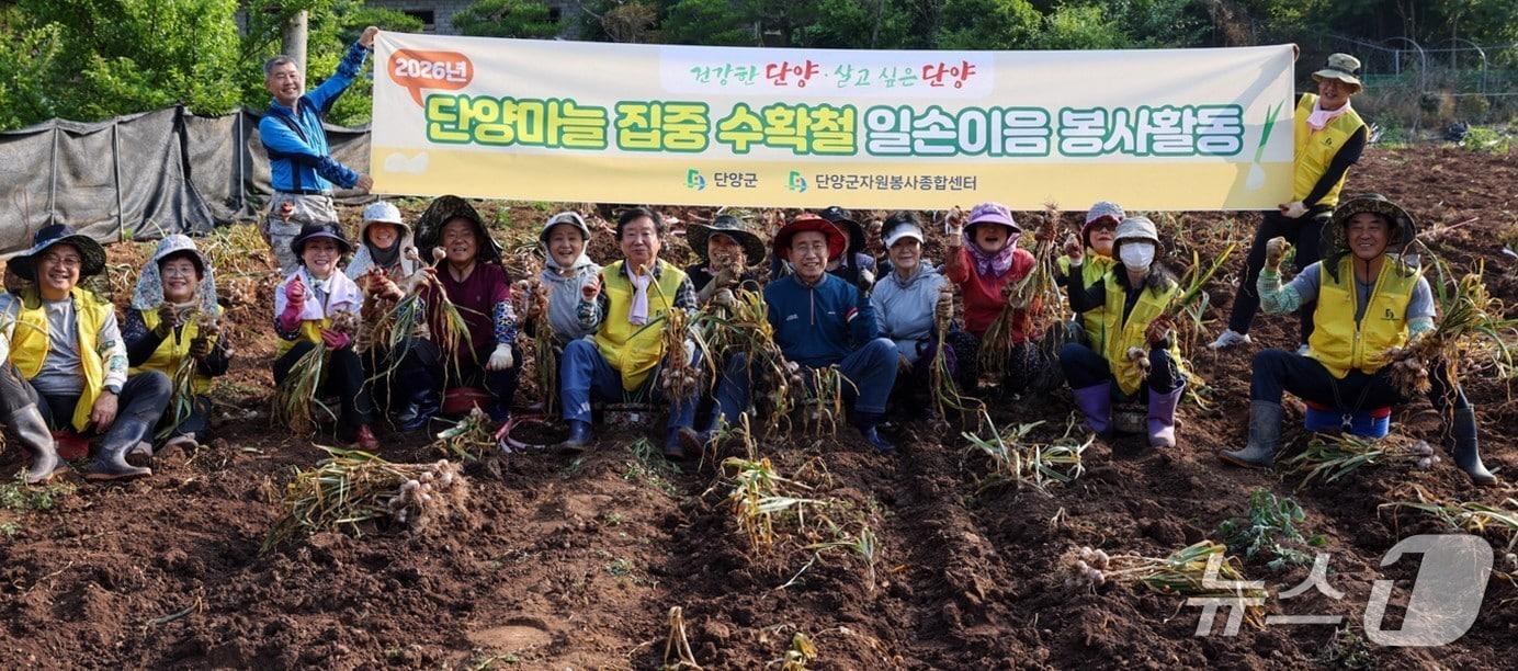 본문 이미지 - 단양군 농촌 일손돕기.(단양군 제공. 재판매 및 DB금지)/뉴스1 