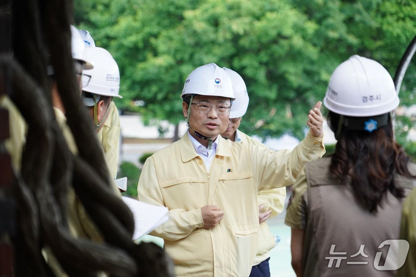 본문 이미지 - 박은식 산림청장이 11일 경주 훈증더미 제거사업장에서 관계자들과 훈증더미 제거 상황을 점검하고 있다. (산림청 제공.재판매 및 DB금지)/뉴스1