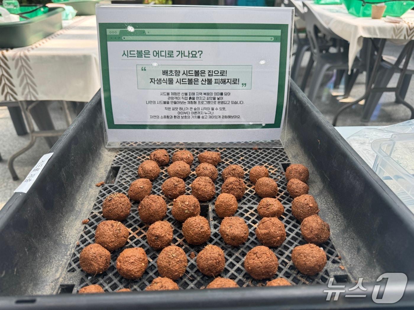 본문 이미지 - 한국수목원정원관리원은 12일 제1회 세계 식물원 교육의 날을 맞아 전국 국·공·사립수목원 10개소와 함께 시드볼(Seed Ball) 체험교육 프로그램을 운영한다. (한국수목원정원관리원 제공.재판매 및 DB금지)/뉴스1