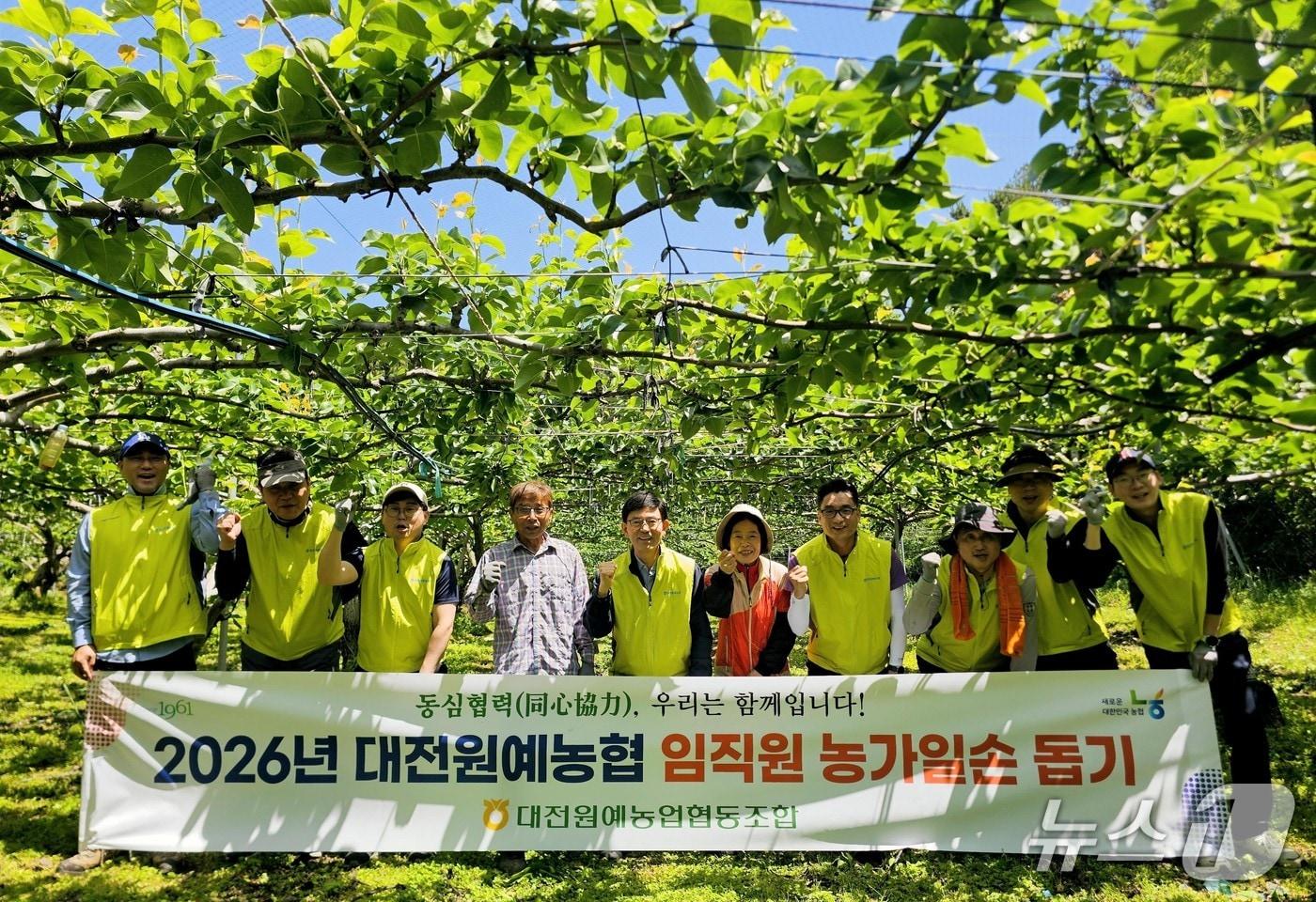 본문 이미지 - 대전원예농협 임직원들이 농가 일손돕기를 실시했다.(대전농협 제공. 재판매 및 DB금지)/뉴스1