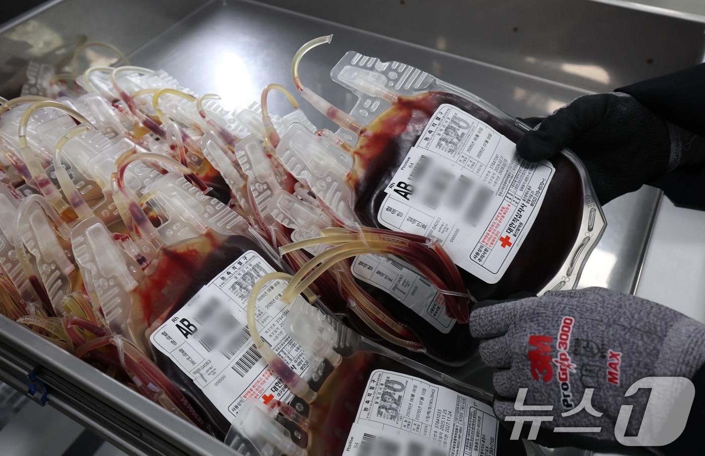 본문 이미지 - 경기 수원시 영통구 대한적십자사 경기혈액원 혈액 보관냉장고에서 직원이 혈액을 정리하고 있다. (사진은 기사 내용과 무관함) / ⓒ 뉴스1 김영운 기자