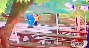 본문 이미지 - 사건 현장 일대 폐쇄회로(CC)TV 모습(온라인커뮤니티 갈무리/뉴스1)