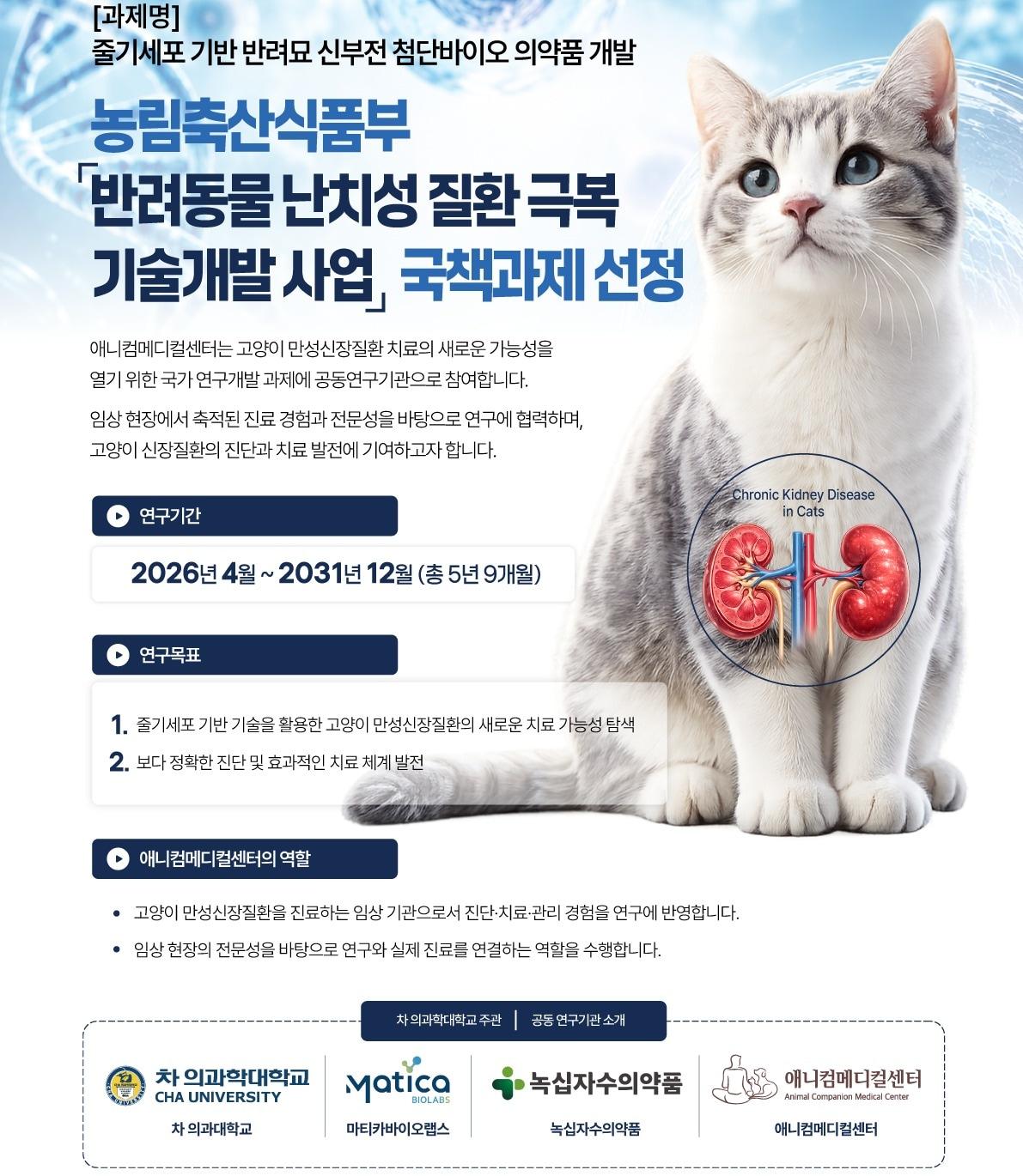 본문 이미지 - 애니컴메디컬센터 제공 ⓒ 뉴스1