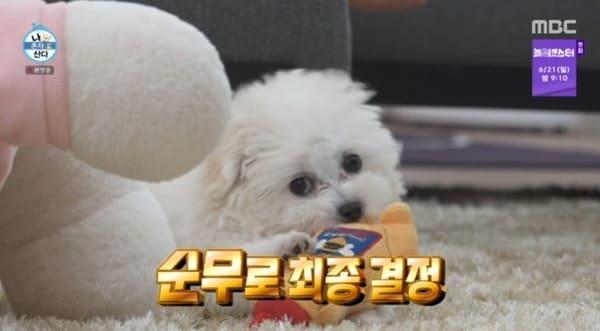 본문 이미지 - MBC '나 혼자 산다' 캡처