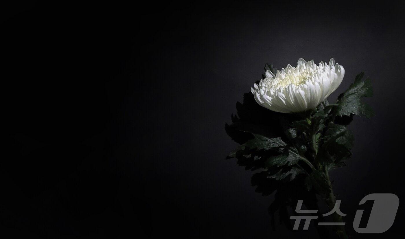 본문 이미지 -  