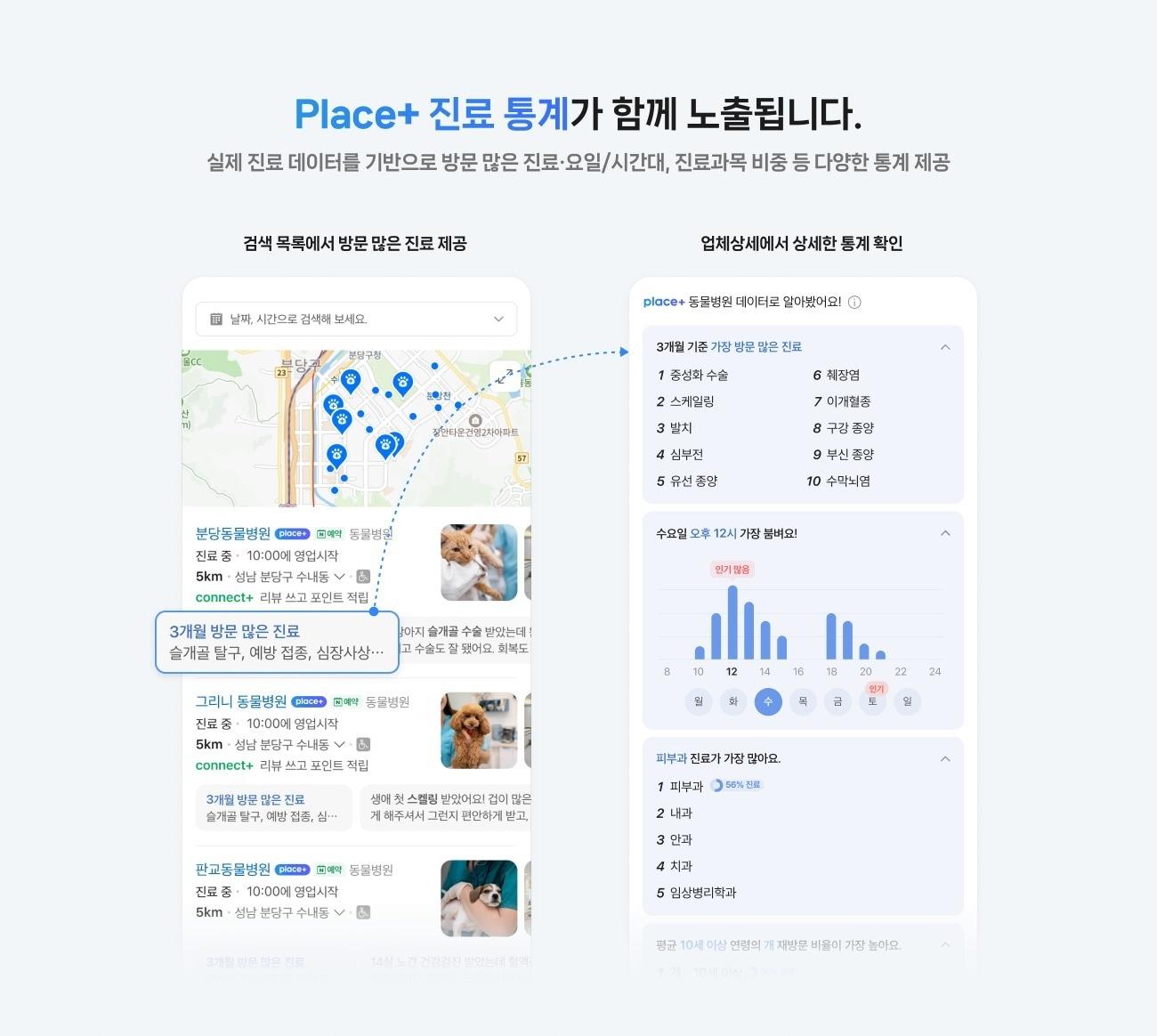 본문 이미지 - 네이버 동물병원 플레이스 플러스 (네이버 제공)