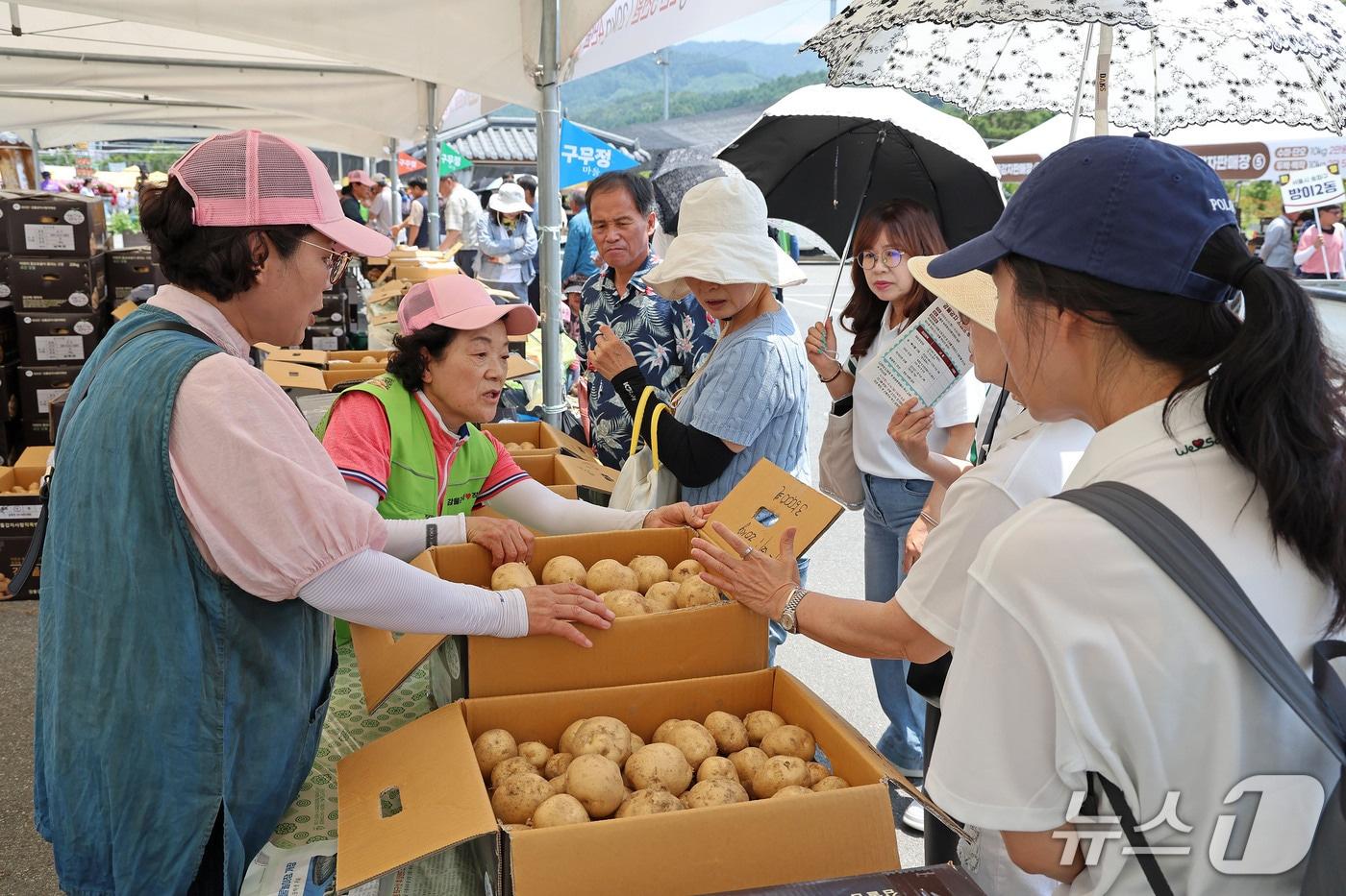 본문 이미지 - 괴산 감물감자축제.(괴산군 제공. 재판매 및 DB금지)/뉴스1