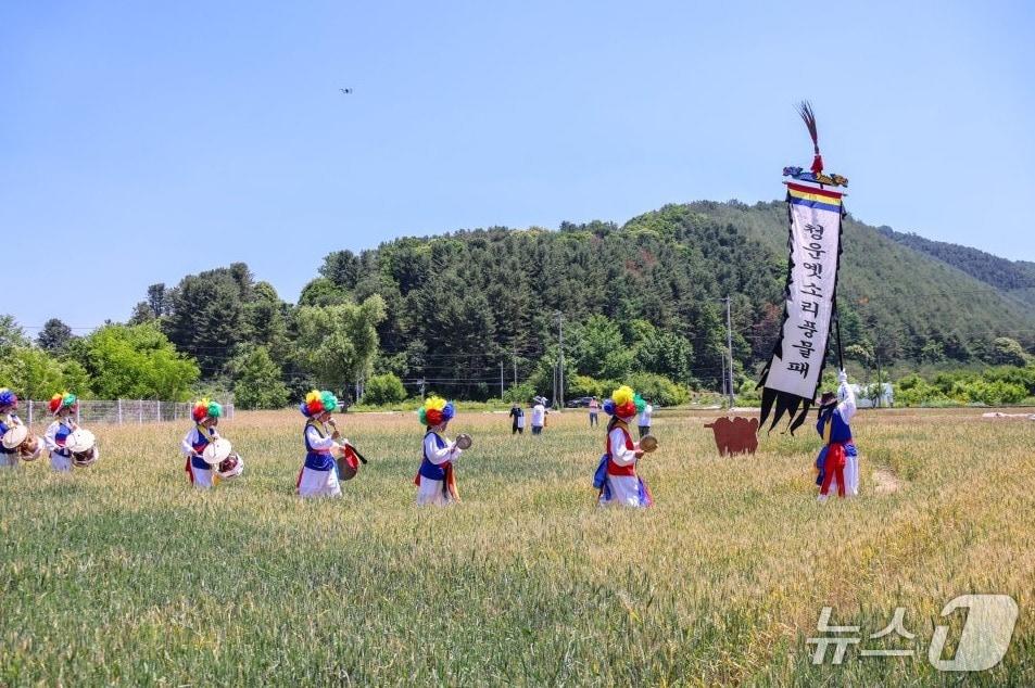 본문 이미지 - 양평 밀 축제.(경기 양평군 제공. 재판매 및 DB 금지)/뉴스1 