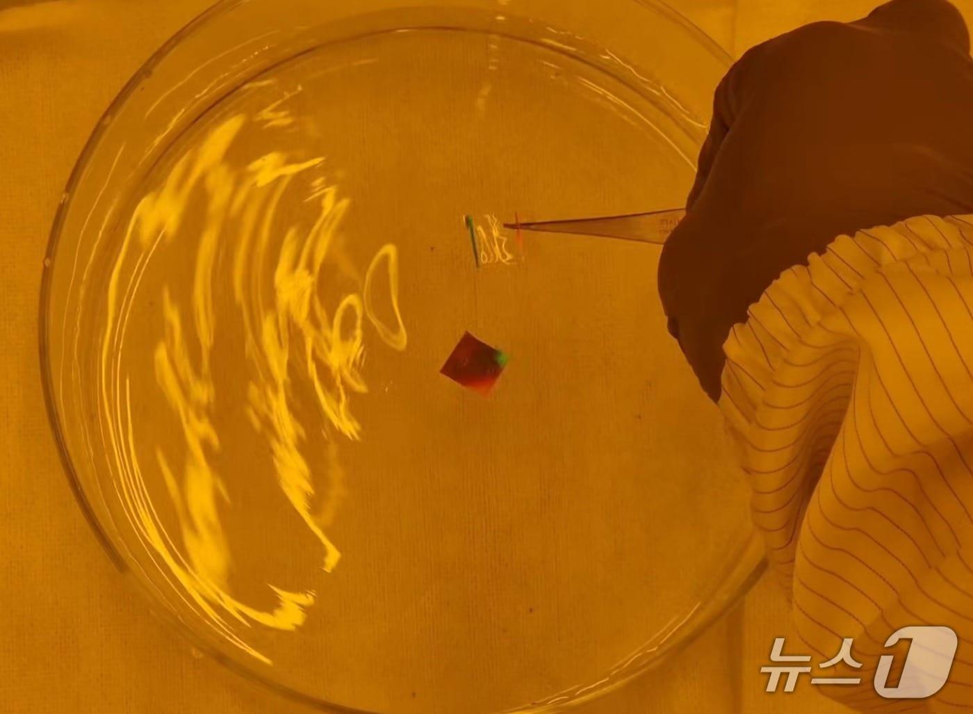 본문 이미지 - 면 부유 나노전사 인쇄 기술 시연(KAIST 제공) /뉴스1
