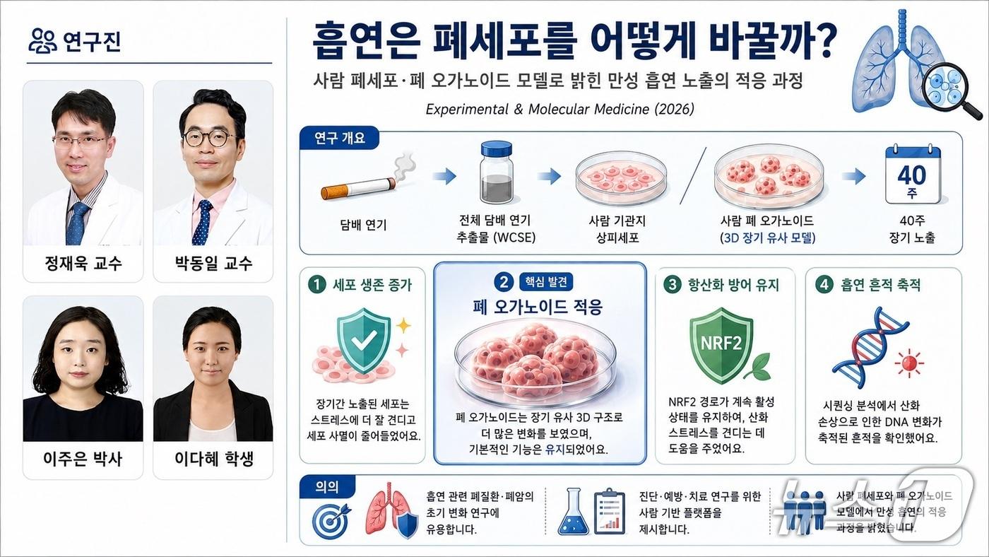 본문 이미지 - (충남대학교 제공.재판매 및 DB금지)/뉴스1