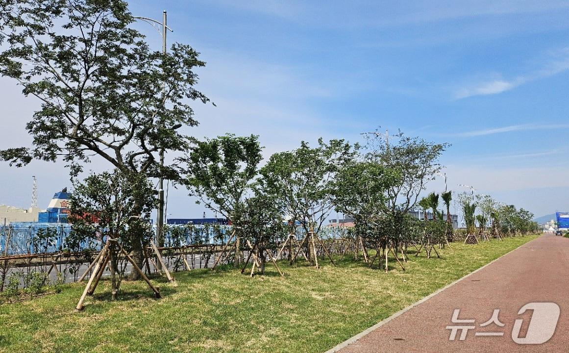 본문 이미지 - 제주항 기후대응 도시숲.(제주시 제공, 재판매 및 DB 금지)