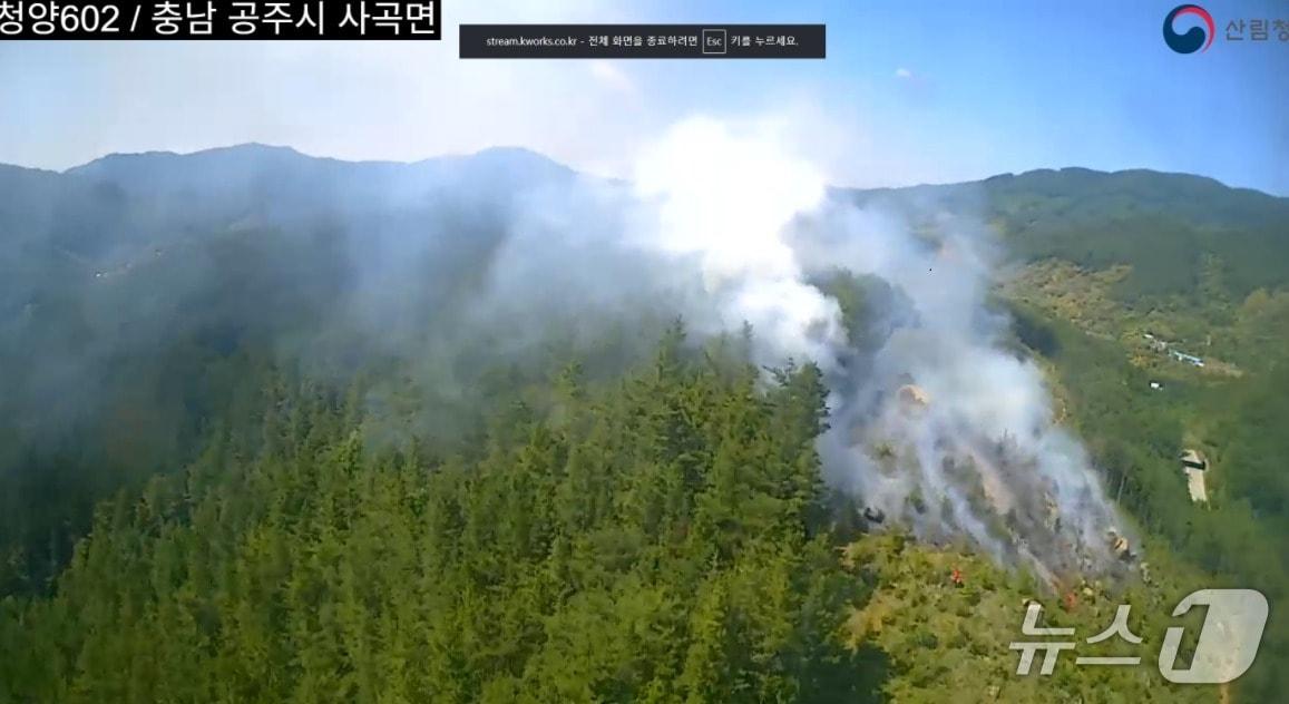 본문 이미지 -  공주 사곡면 산불 현장. (산림청 제공, 재판매 및 DB금지) / 뉴스1